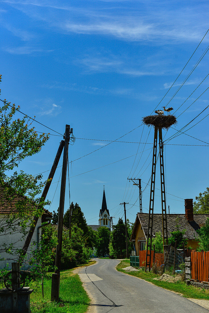 Pair of storks in their nest on a telegraph pole, near Kerkafalva, Hungary
