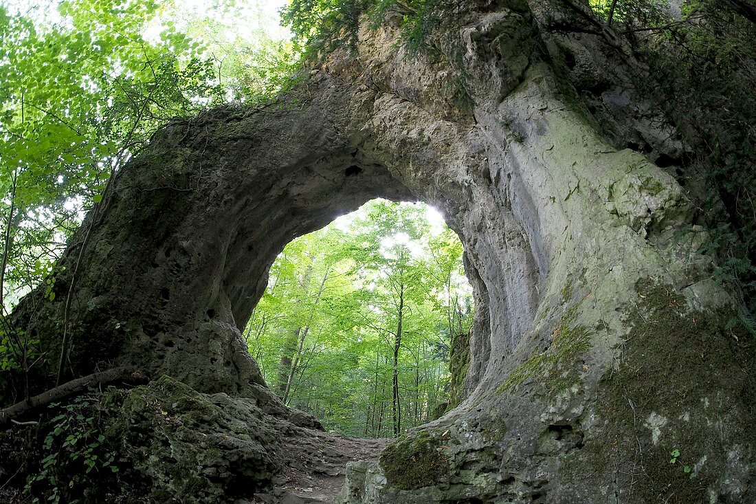 Wandern bei Gößweinstein, Felsen, Felsentor, Wald, Landschaft, Weg, Pfad, Fränkische Schweiz, Ober-Franken, Bayern, Deutschland