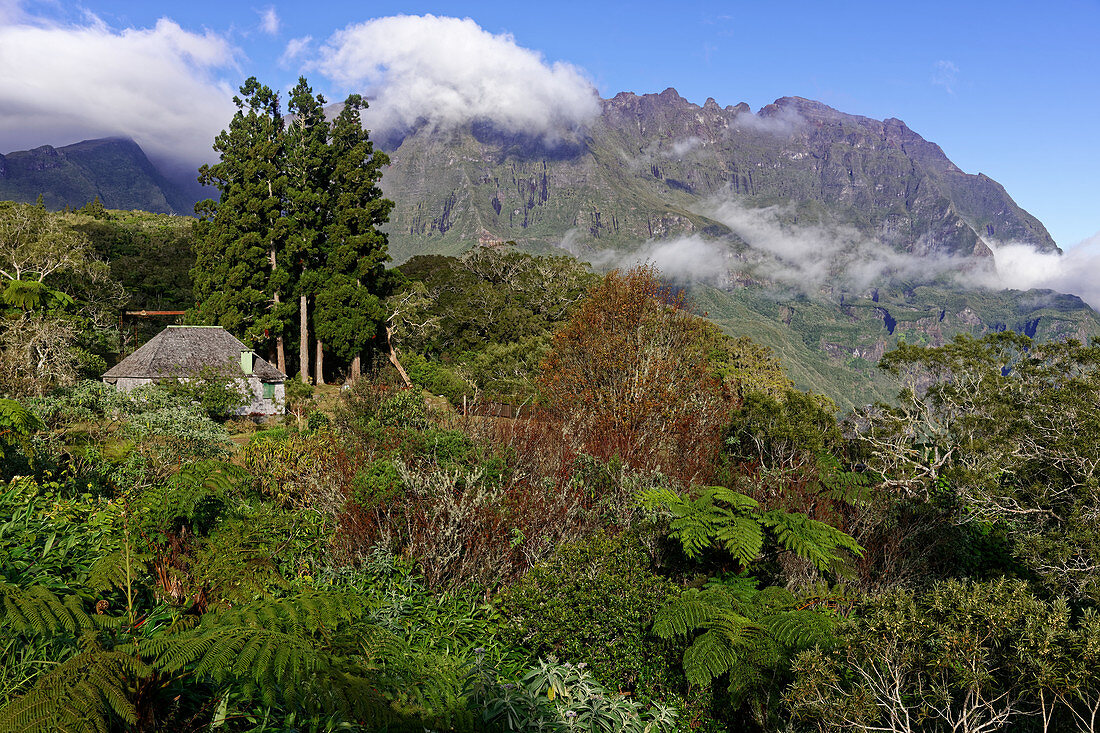 An der Gite de Bélouve oberhalb von Hell-Bourg im Cirque de Salazie, Wolken am Piton des Neiges, La Réunion, Frankreich