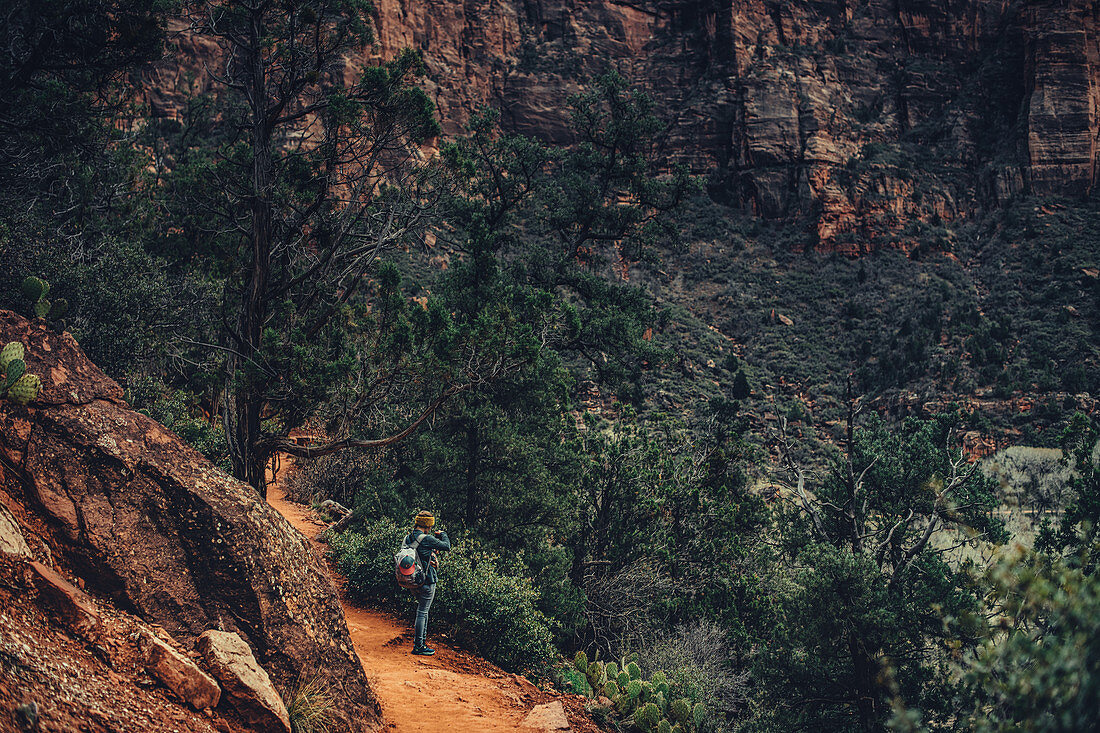 Person in Zion National Park, Utah, USA, North America, America