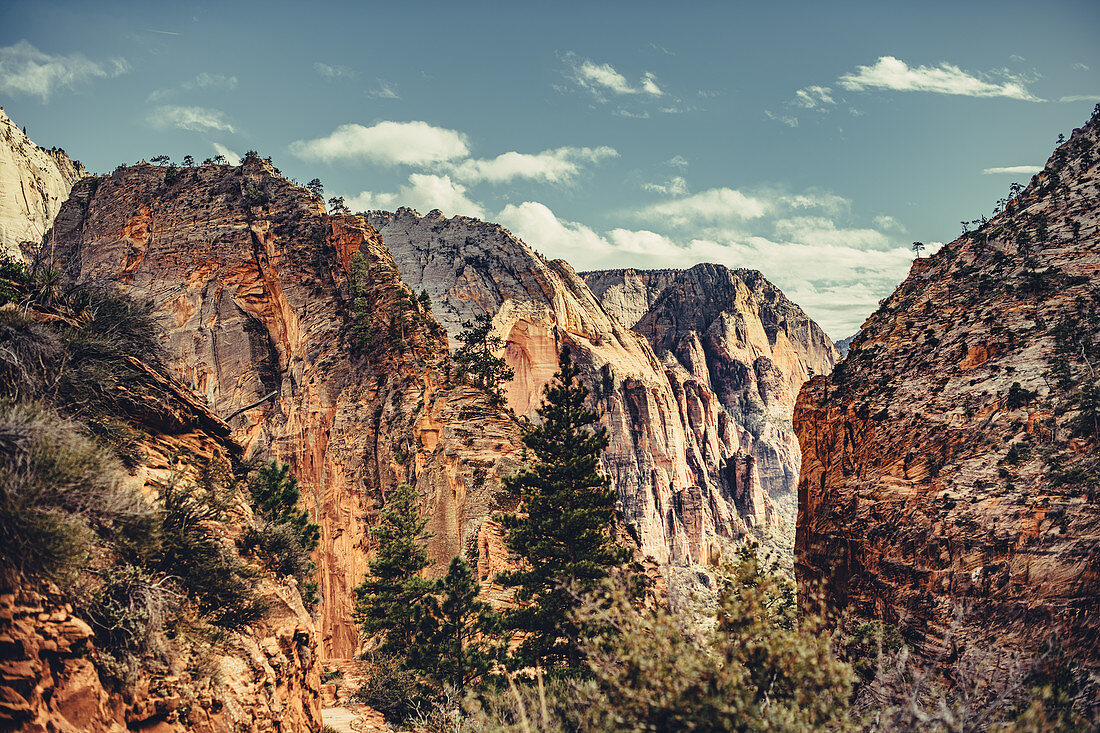 Zion Canyon von Angels Landing aus gesehen, Utah, USA, Nordamerika, Amerika