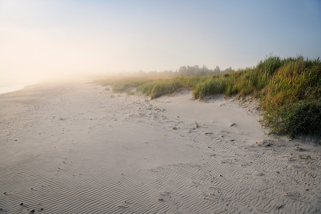 Back light with fog at the beach at the three countries corner, Fischland-Darß-Zingst, Western Pomerania Lagoon Area National Park, peninsula in Mecklenburg-Western Pomerania, Baltic Sea, Germany, Europe