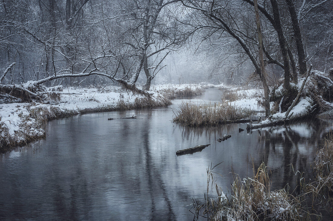 Winter morning at Mühlbach, Schäftlarn, Bavaria, Germany