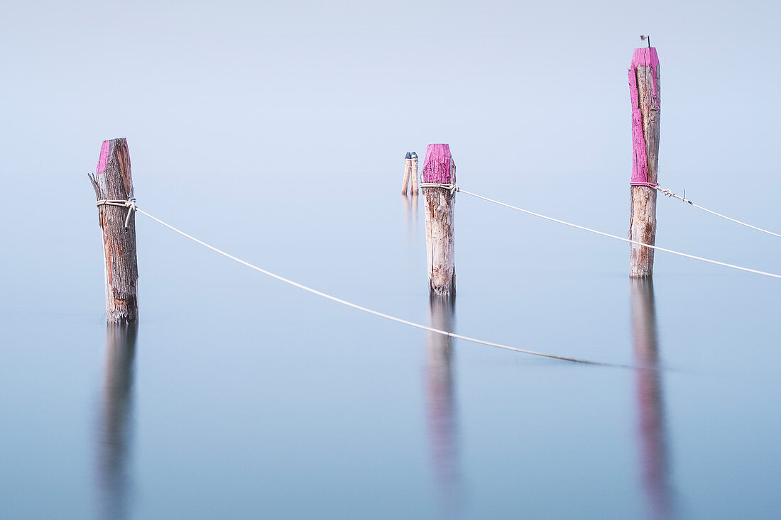 Blick auf Holzpfähle im Fischerhafen von Pellestrina in der Lagune von Venedig, Pellestrina, Venetien, Italien, Europa