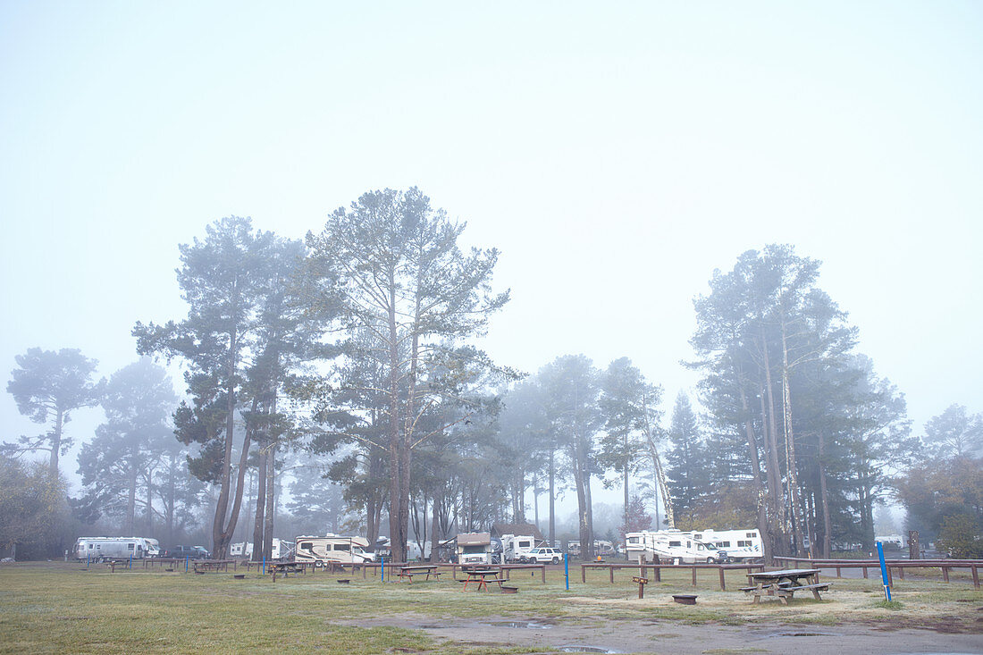 Campground in the morning mist at Point Reyes, California, USA.