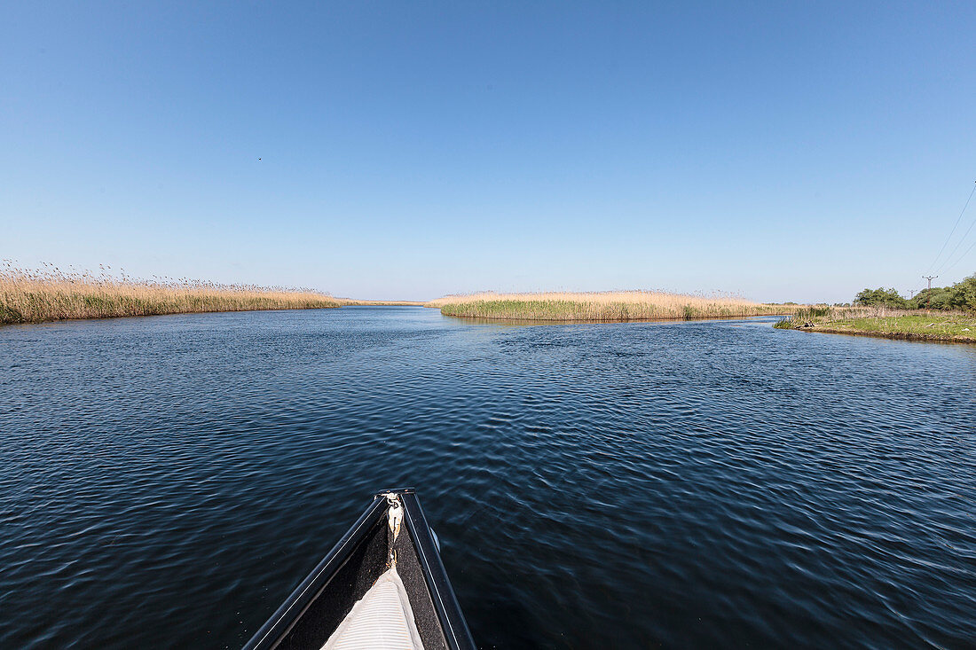 Blick über den Bug eines Bootes im Donaudelta, Mila 23, Tulcea, Rumänien.