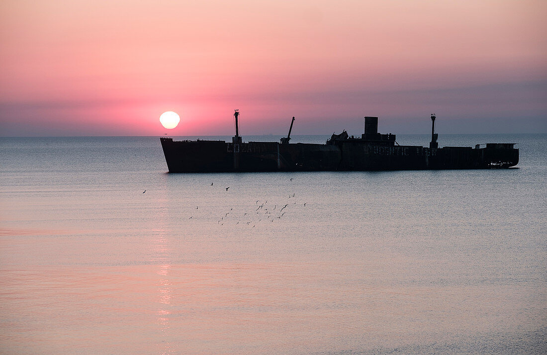 Das Schiffswrack Evangelia und Möwen bei Sonnenaufgang an der Schwarzmeerküste in Costinesti, Constanta, Rumänien.