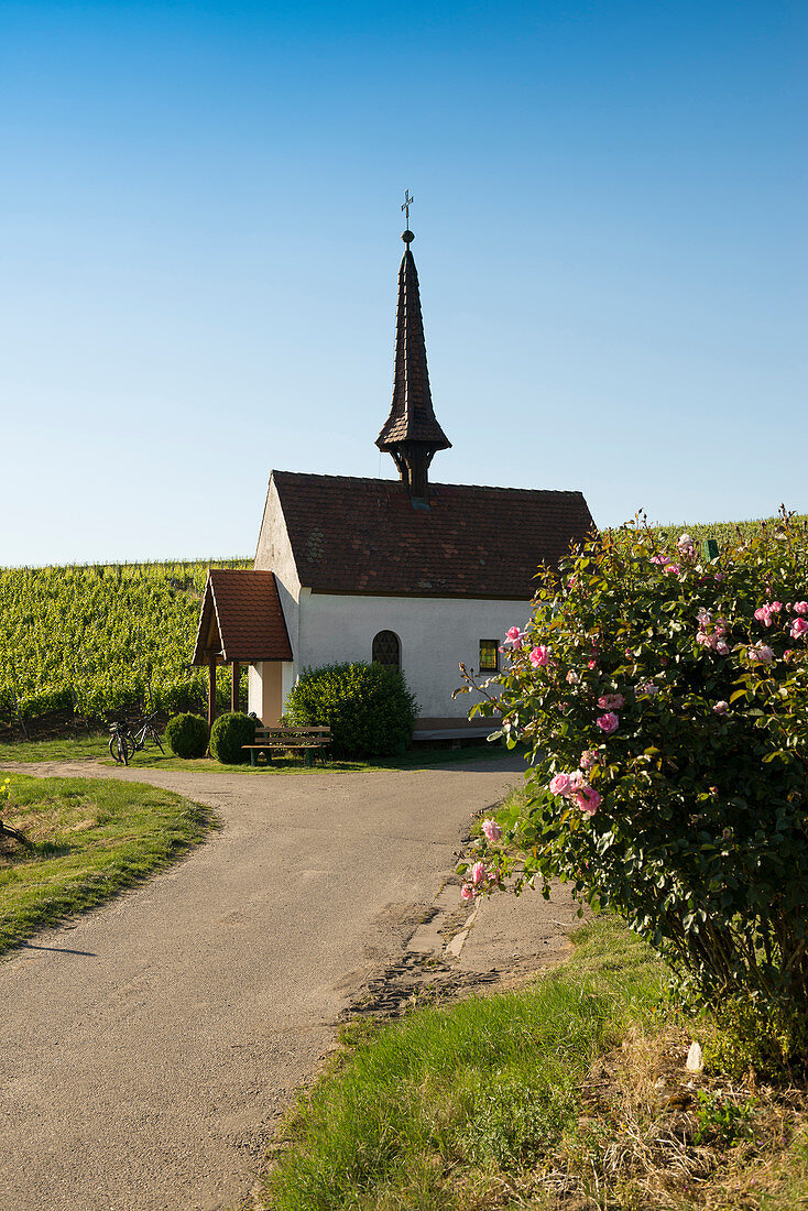 Kapelle in den Weinbergen, Eichert Kapelle, Jechtingen, Kaiserstuhl, Baden-Württemberg, Deutschland
