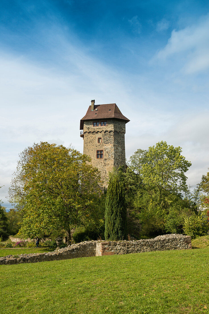 Sponeck Castle, Jechtingen, Sasbach, Kaiserstuhl, Baden-Württemberg, Germany