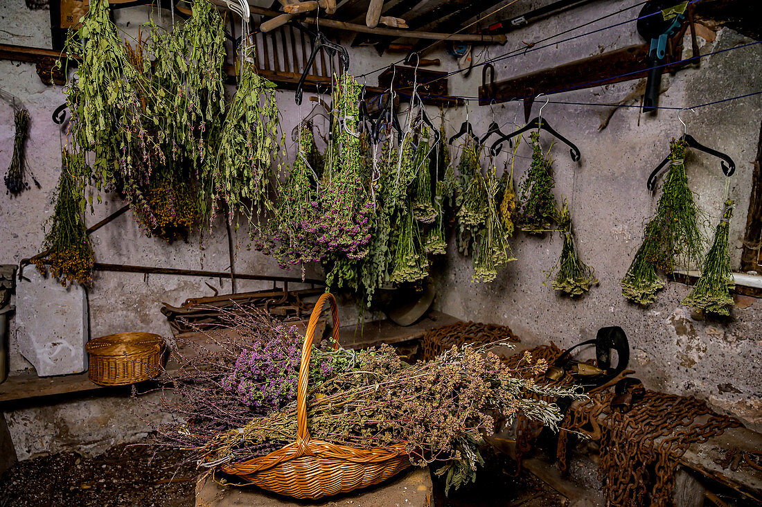 Herbs drying, homemade with herbs from your own garden