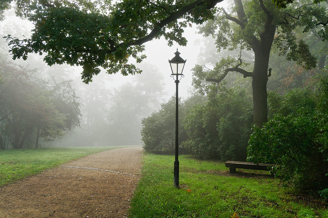 Kapellenberg, Potsdam, Land Brandenburg, Deutschland