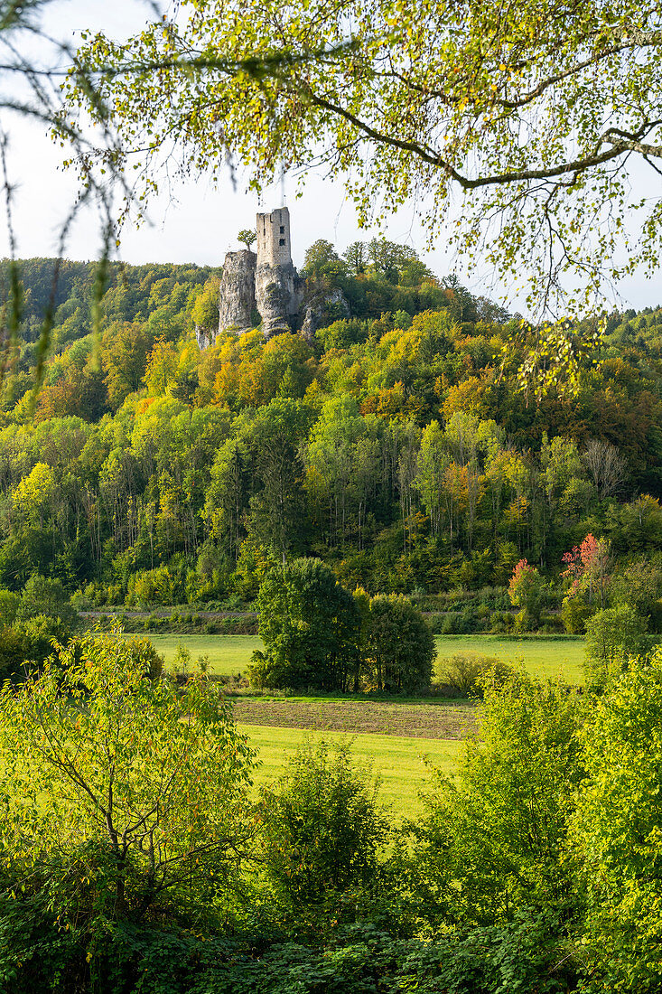 Burgruine Neideck, Wiesenttal, Franken, Bayern, Deutschland