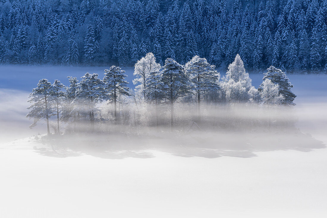 Eibseeinsel in winter, Garmisch-Partenkirchen, Bavaria, Germany