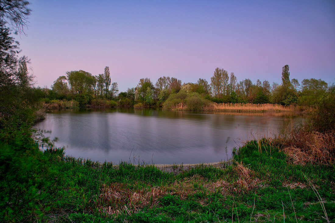 Vogelinsel im Altmühlsee, Muhr am See, Fränkisches Seenland, Gunzenhausen, Mittelfranken, Franken, Bayern, Deutschland, Europa