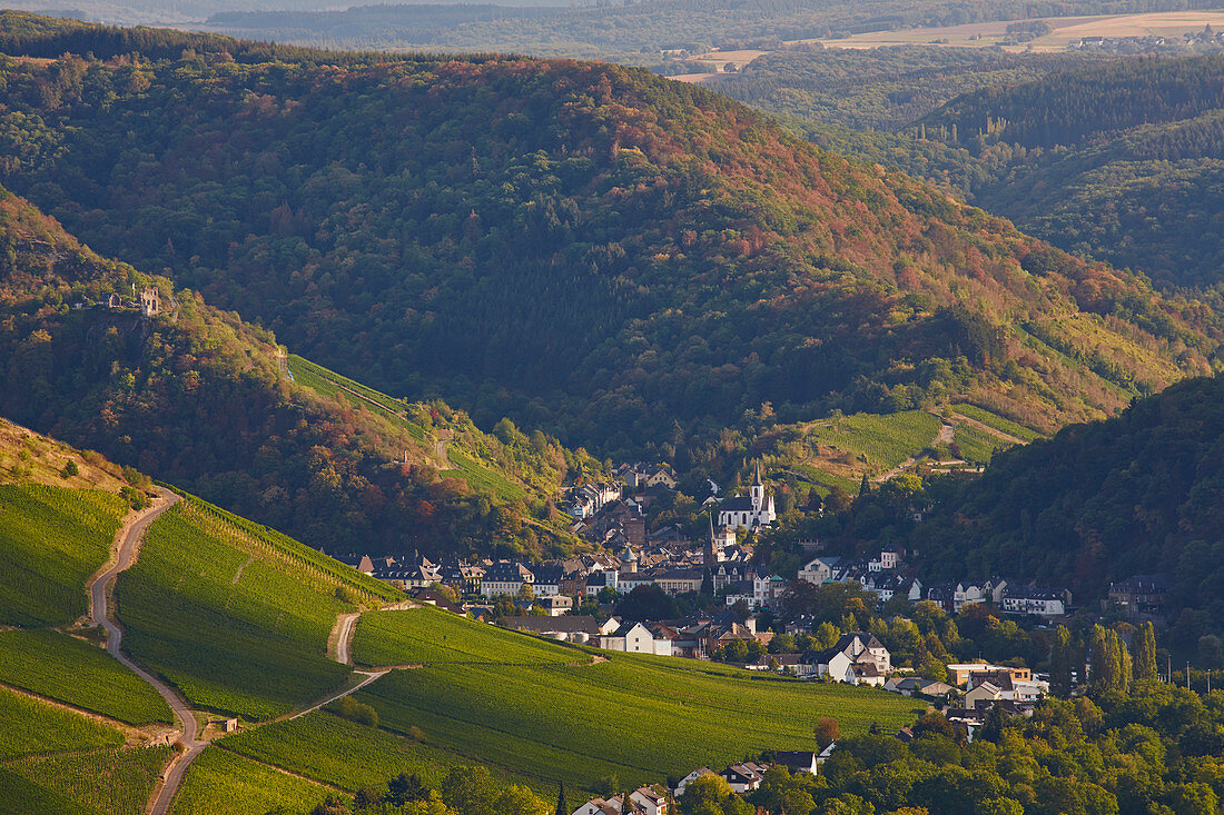 Blick aus der Weinlage Kröver Nacktarsch über die Mosel nach Trarbach, Rheinland-Pfalz, Deutschland, Europa 