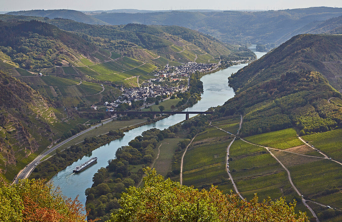 View from Calmont on the Moselle at Ediger-Eller, Calmont, Rhineland-Palatinate, Germany, Europe