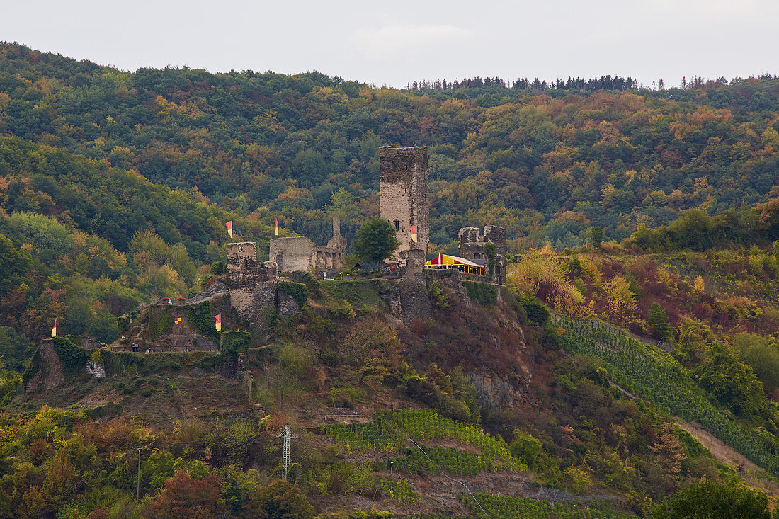 Metternich Castle in Beilstein on the Moselle, Rhineland-Palatinate, Germany, Europe