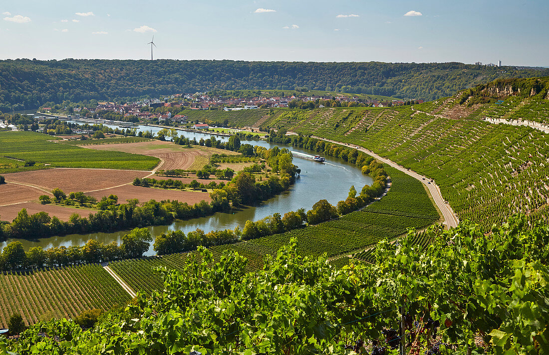 The Neckar near Mundelsheim, Kraichgau, Baden-Wuerttemberg, Germany, Europe