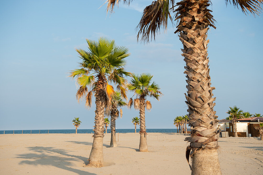 Palmen an einem einsamen Strand mit Strandrestaurant auf Stelzen im Hintergrund, Forte dei Marmi, Toskana, Italien