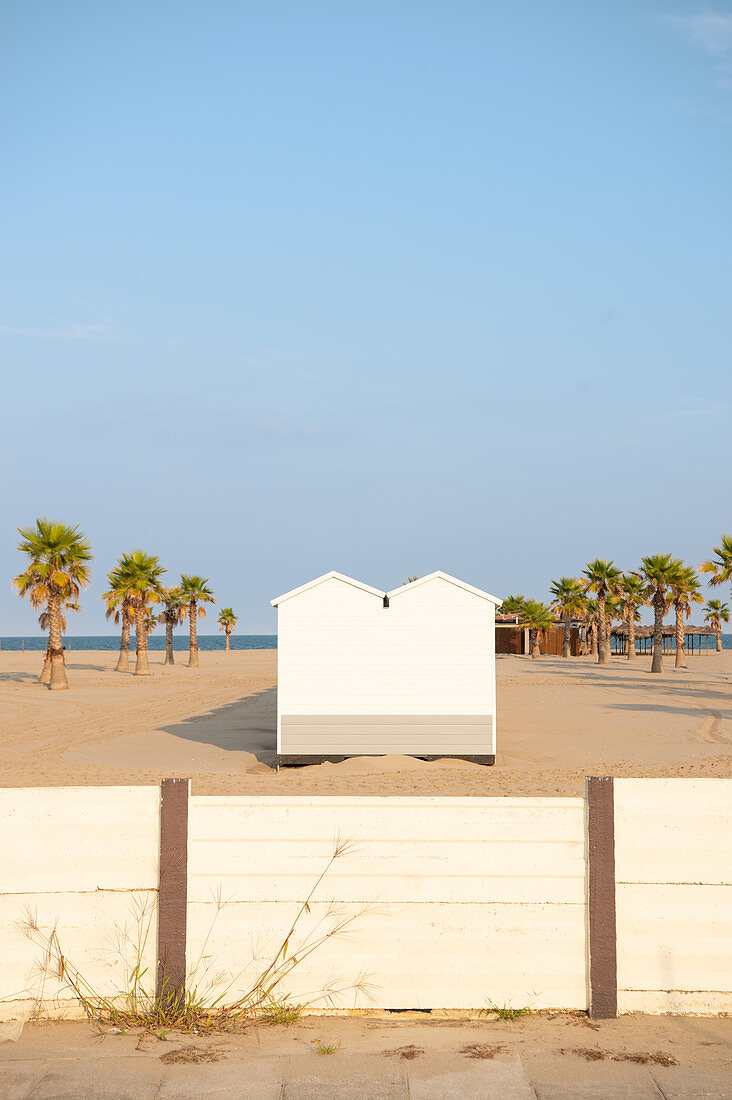Palm trees on a lonely beach with white small wooden bathing huts, Forte dei Marmi, Tuscany, Italy