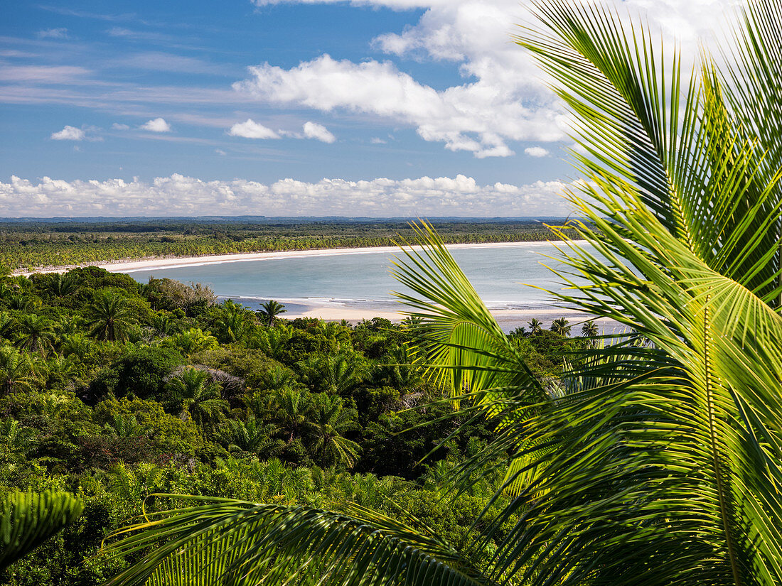 Sandy beach, Boipeba Island, Bahia, Brazil, South America