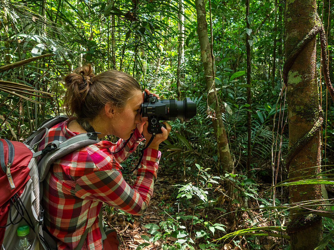 Tourist photographed in the Amazon rainforest near Manaus, Amazon Basin, Brazil, South America