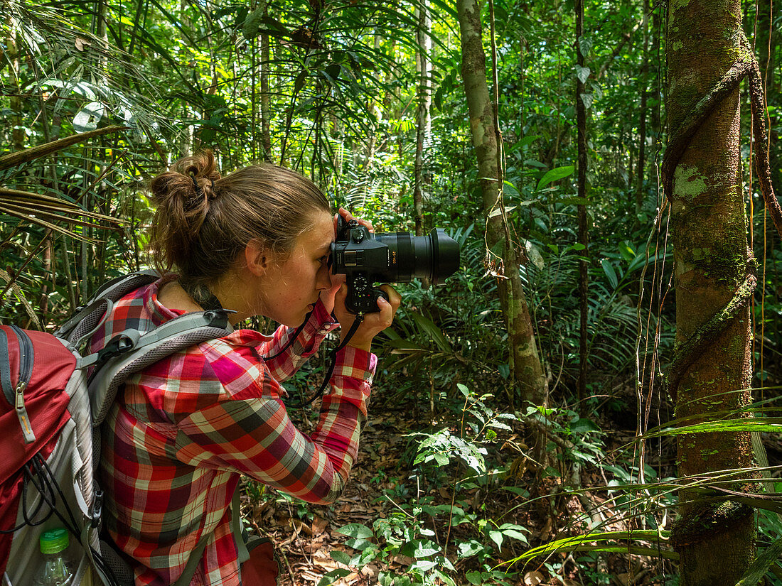Touristin fotografiert im Regenwald am Amazonas bei Manaus, Amazonasbecken, Brasilien, Südamerika