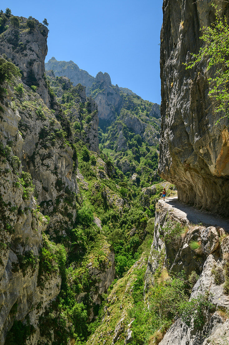 Woman hiking through the Ruta del Cares gorge, Cares Gorge, Picos de Europa, Picos de Europa National Park, Cantabrian Mountains, Asturias, Spain