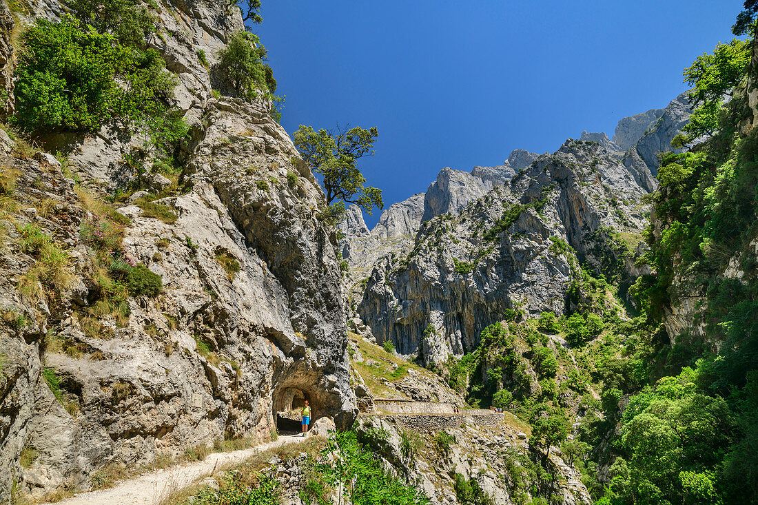 Frau beim Wandern durch die Schlucht Ruta del Cares, Caresschlucht, Nationalpark Picos de Europa, Kantabrisches Gebirge, Asturien, Spanien