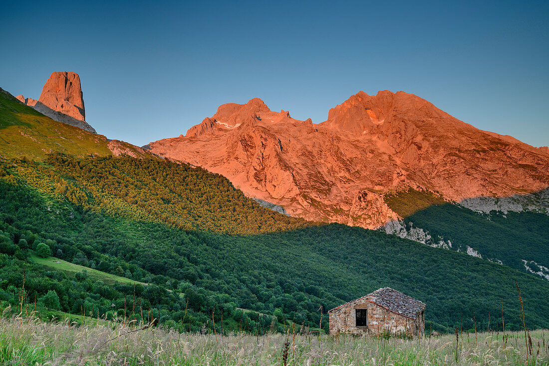 Alm mit Picu Urriellu im Morgenlicht, Naranjo de Bulnes, Refugio Terenosa, Nationalpark Picos de Europa, Kantabrisches Gebirge, Asturien, Spanien