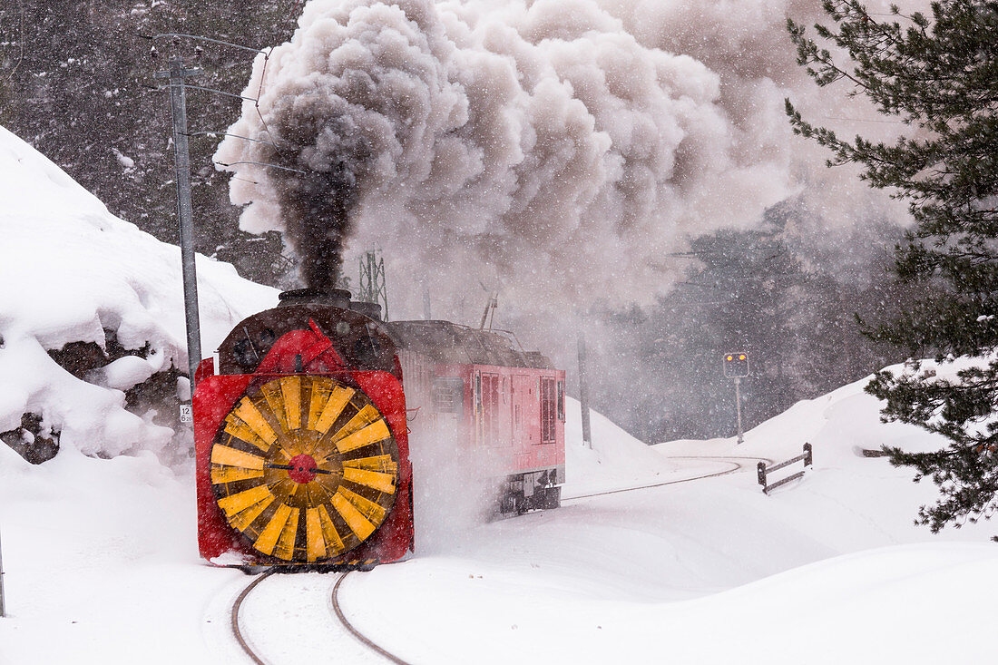 Steam of the snowplow of the Bernina Express train, Morteratsch, canton of Graubünden, Engadin Valley, Switzerland