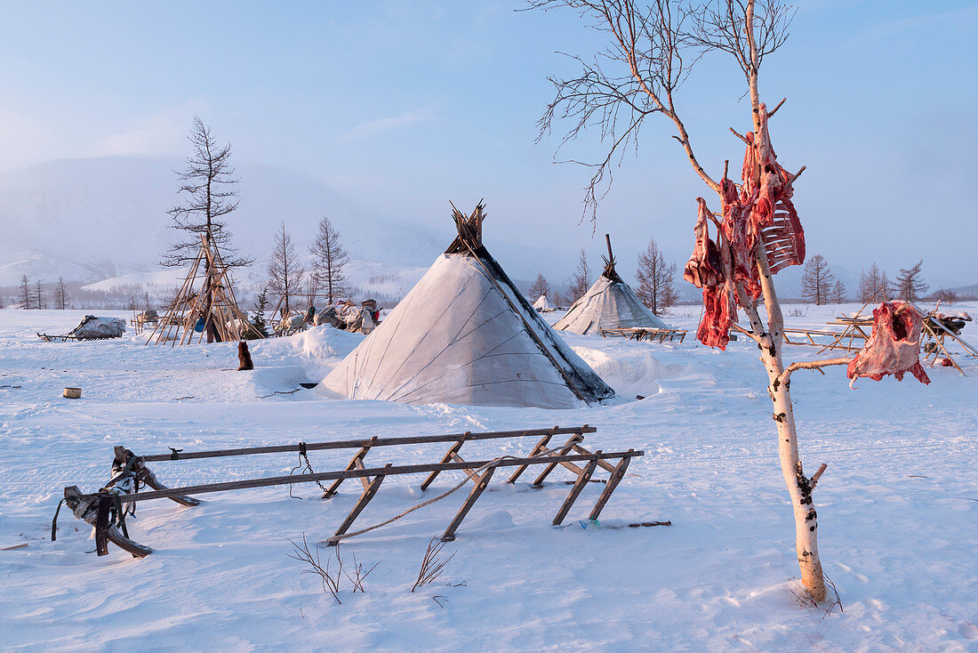 Nomadisches Rentierhirtenlager. Polar Ural, Yamalo-Nenets autonomer Okrug, Sibirien, Russland