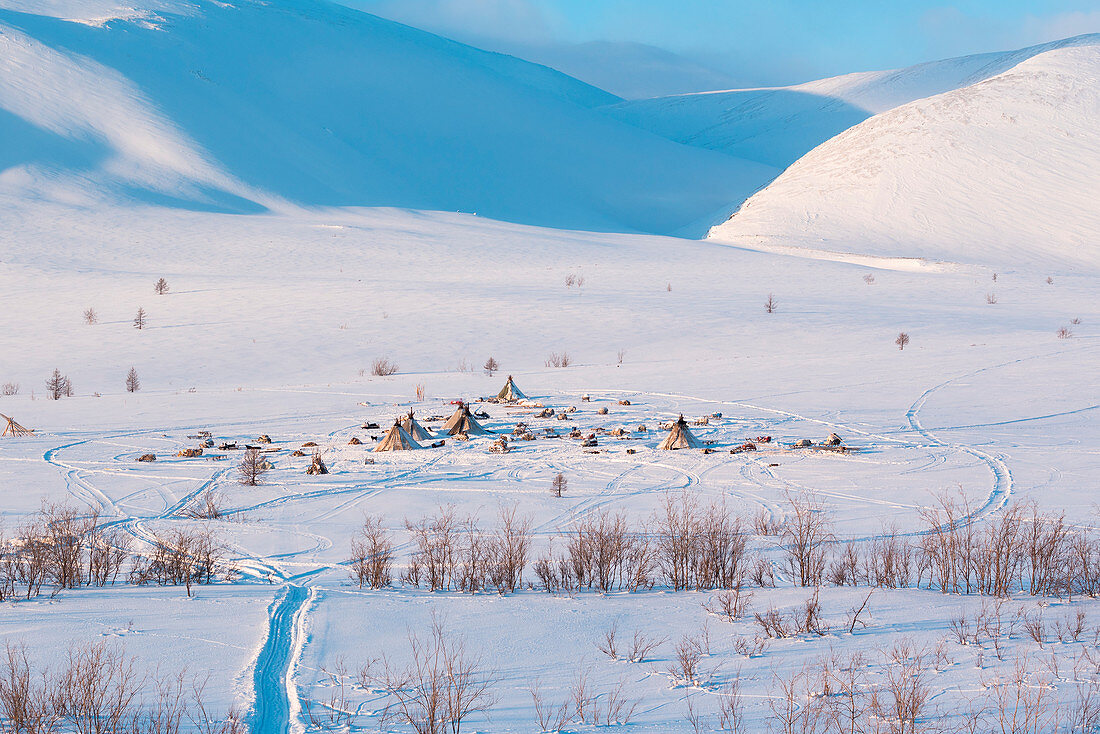 Nomadic reindeer herders camp. Polar Urals, Yamalo-Nenets autonomous okrug, Siberia, Russia
