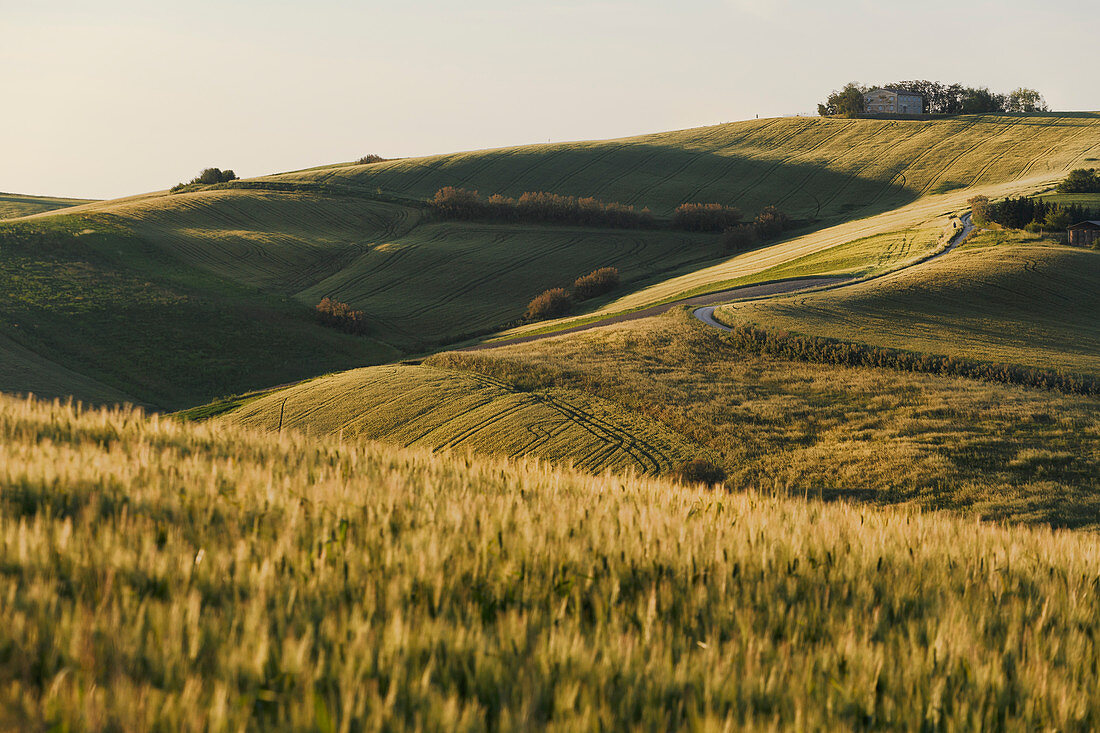 Hügel bei Sonnenuntergang, Pesaro Urbino Provinz, Marken, Italien