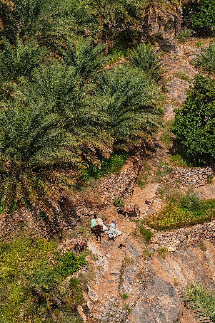 Das Dorf Misfat Al A'briyeen, Oman