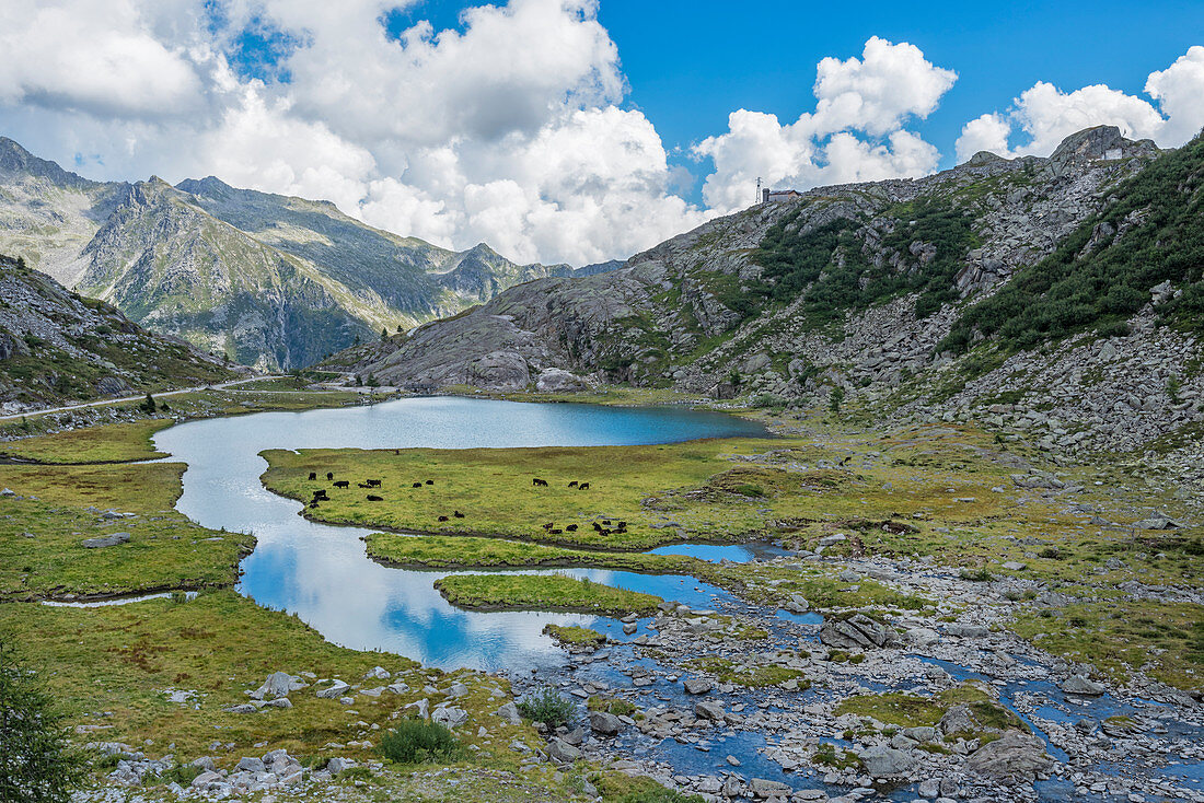 Lower Cornisello lake. Europe, Italy, Trentino Alto Adige, Trento province, Nambrone valley, Sant'Antonio di Mavignola.