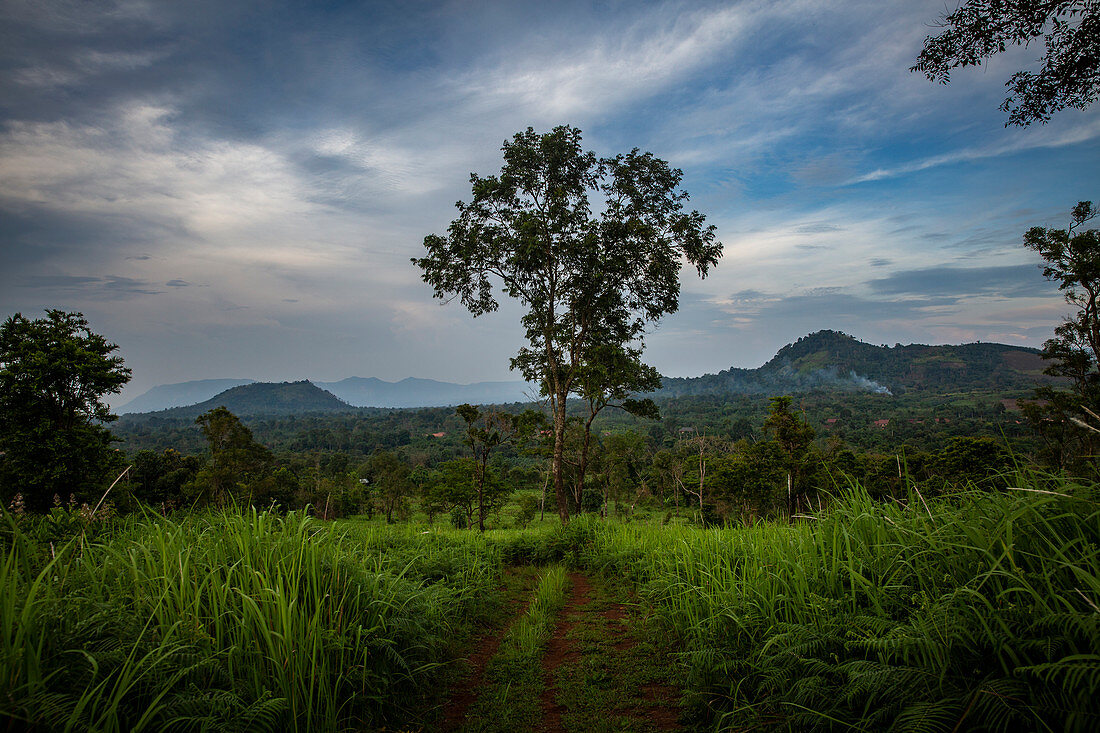 Landschaft im Bolaven Plateau nahe Kaffeeplantage Mystik Mountain Coffee, Champasak, Laos, Asien