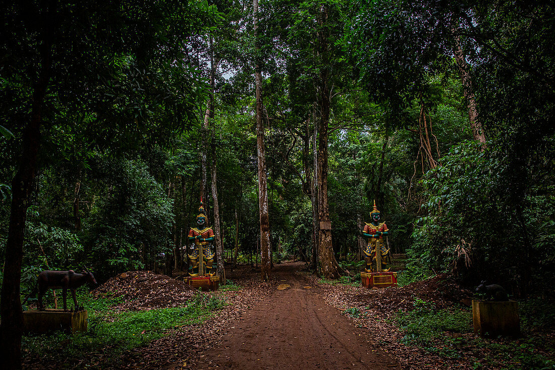 Statues in the jungle from the Bolaven Plateau, Laos, Asia