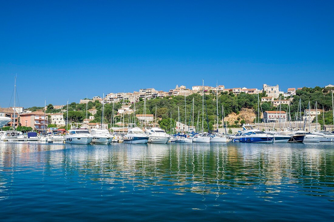 France, Corse-du Sud (2A), Porto-Vecchio, the marina at the foot of the Genoese citadel