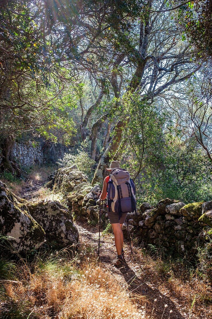 France, Corse-du Sud (2A), Rocca region, Mare e Monti Sud hiking trail, between Olmeto and Porto Pollo