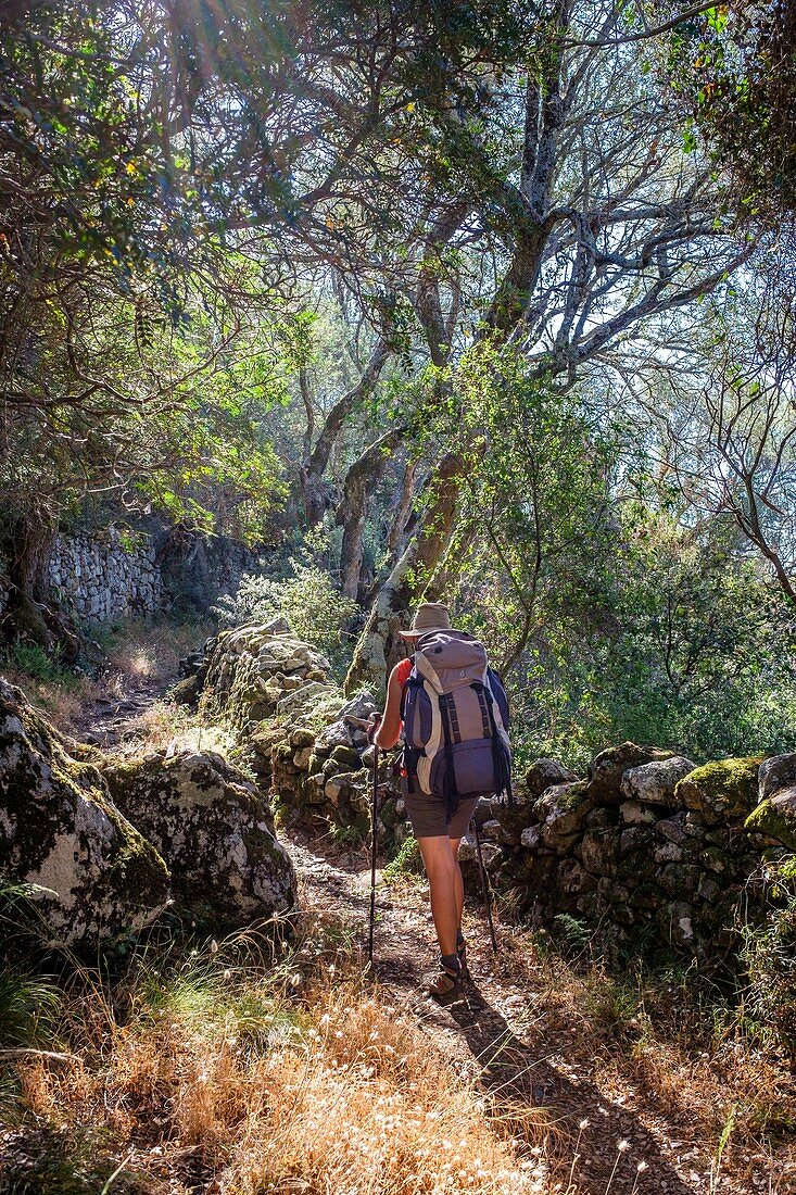 Frankreich, Corse-du Sud (2A), Region Rocca, Wanderweg Mare e Monti Sud zwischen Olmeto und Porto Pollo