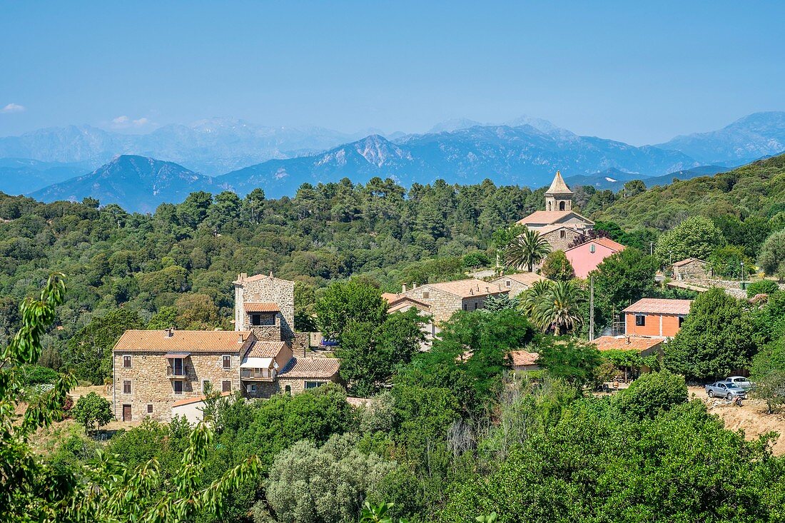 France, Corse-du Sud (2A), Prunelli region, Mare e Monti Sud hiking trail, between Porto Pollo and Coti-Chiavari, Coti-Chiavari village