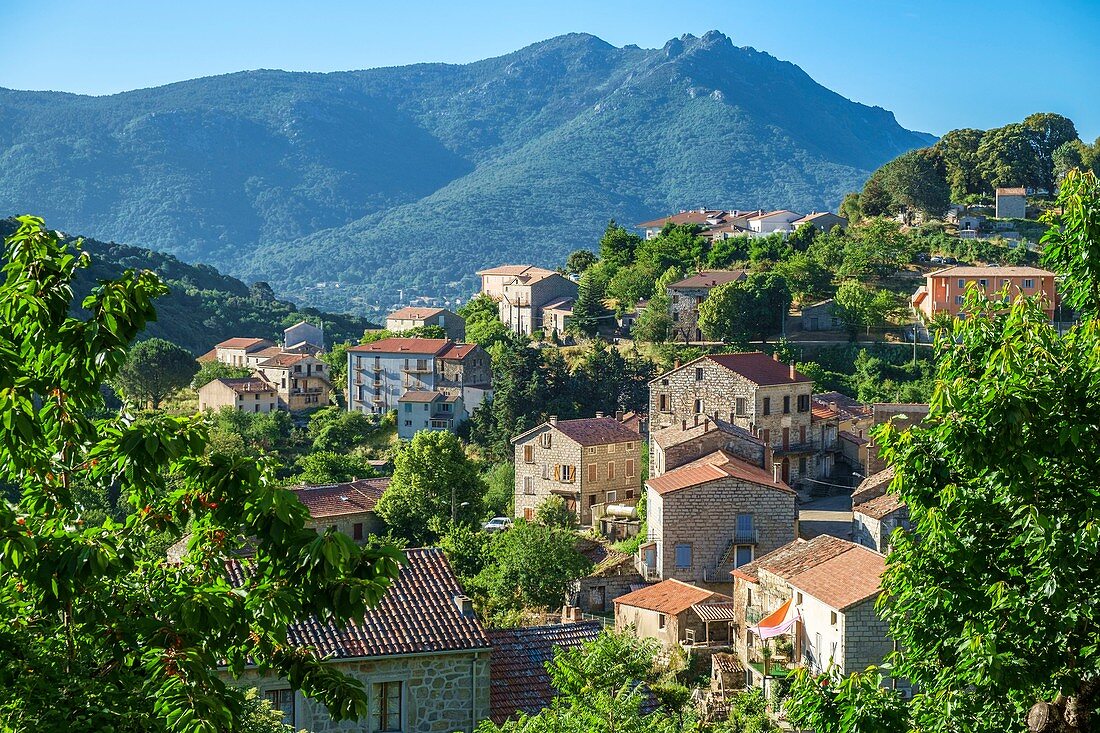 Frankreich, Corse-du Sud (2A), Region Alta Rocca, Wanderweg Mare a Mare Sud, Halt im Dorf Levie