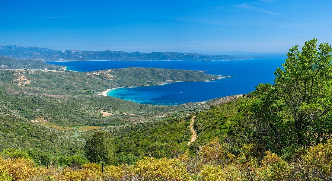 France, Corse-du Sud (2A), Prunelli region, Mare e Monti Sud hiking trail, between Porto Pollo and Coti-Chiavari, view over the GUlf of Valinco and Cupabia bay