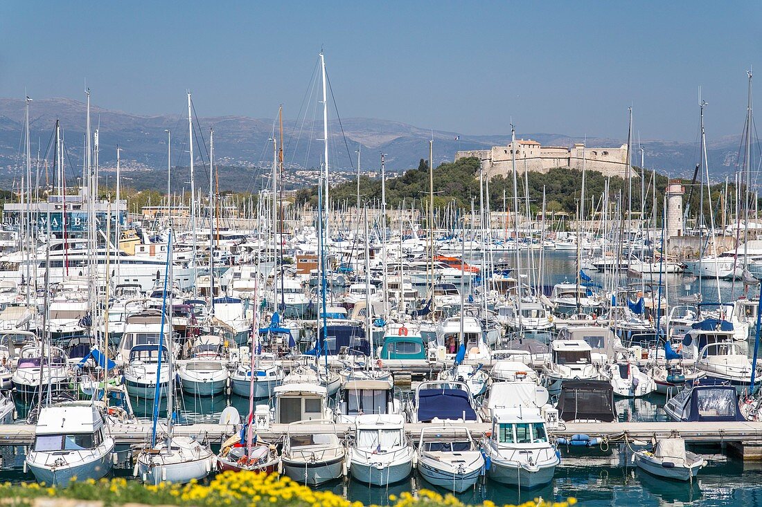 France, Alpes-Maritimes, Antibes, the port Vauban with in background the Fort Carré of the XVIth century