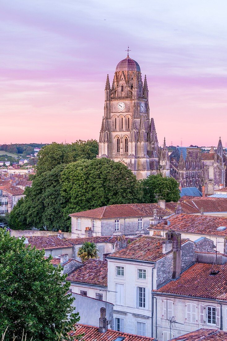 France, Charente Maritime, Saintonge, Saintes, Saint Pierre cathedral