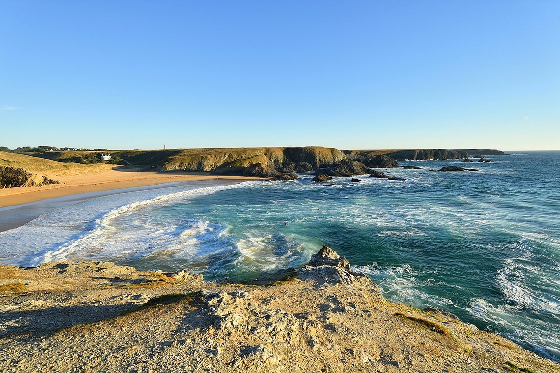 France, Morbihan, Belle Ile en Mer, the wild coast, along the GR340 between the Pointe des Poulains and Herlin beach (Bangor village), Donnant beach