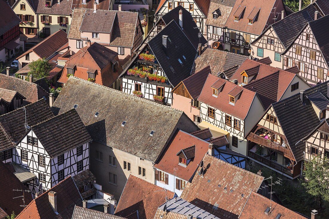France, Haut Rhin, Route des Vins d'Alsace, Kaysersberg , half timbered houses