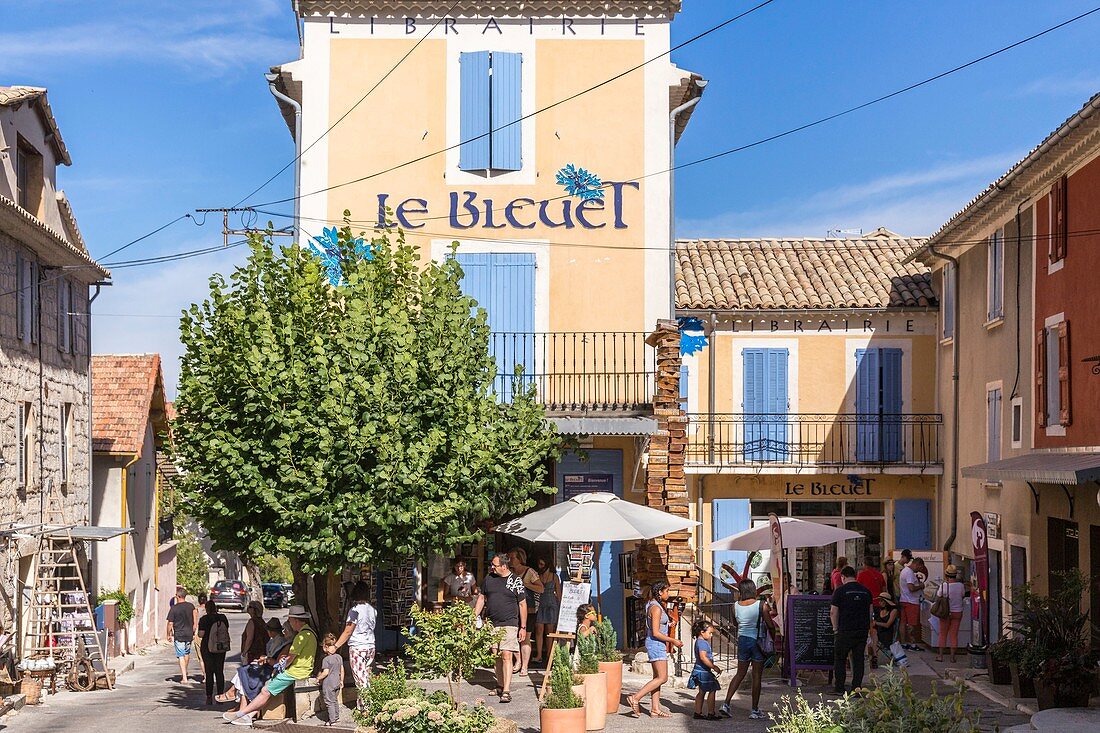 France, Alpes de Haute Provence, Banon, bookshop the Bleuet