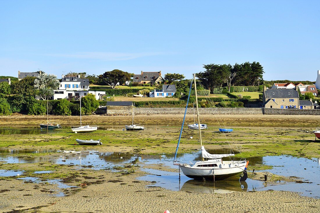 France, Finistere, Iroise sea, Armorique Regional natural park, Le Conquet, the harbour